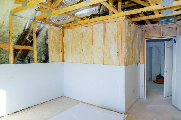 Best Eco-Friendly Insulation in Troup, TX