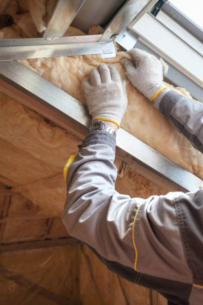 Best Spray Foam Insulation in Troup, TX