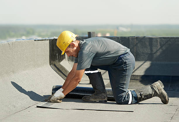 Best Specialized Insulation Services in Troup, TX